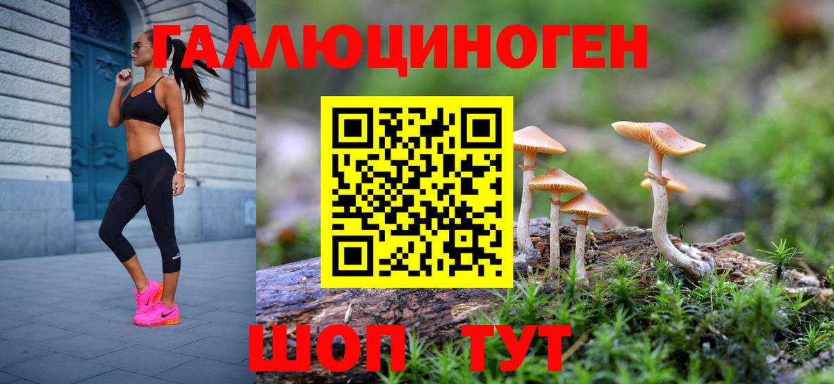 Дзержинск  где купить наркоту  Вход с VPN  Галлюциногенные грибы мухоморы 